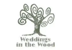 DJ_Mal_Williams_Wedding_Disco_at_Weddings_In_Woods
